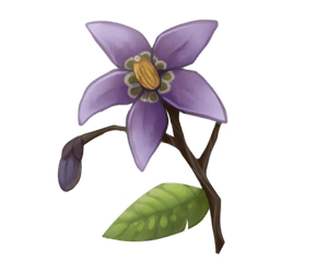 nightshade_by_tokotime_df2zpiz-fullview (2).png