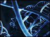 genetic instability.png