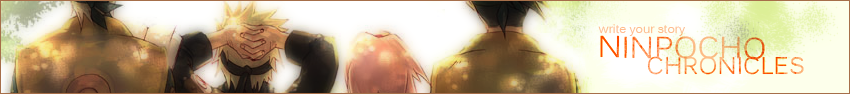 NCbanner2.png