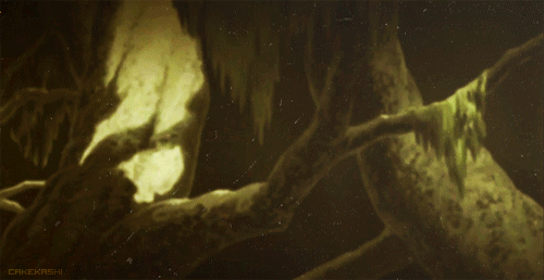 tumblr_msxouazS7k1shvs15o7_500.gif