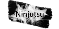 Ninjutsu3.png