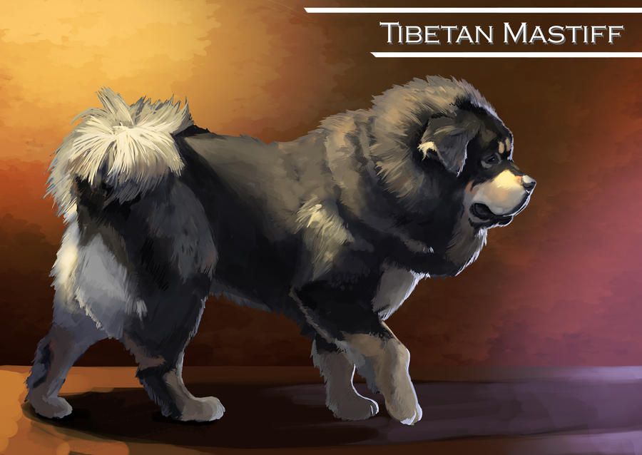 tibetan_mastiff_by_darkkenjie-d35sdn0.jpg