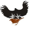 ONB_Logo.jpg