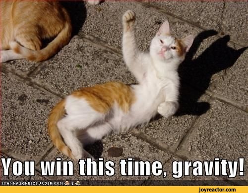 gif-faceplant-fail-Backflip-722983.jpeg