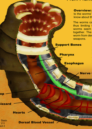 Inthemawofthebeast_zpsf4cb086b.png