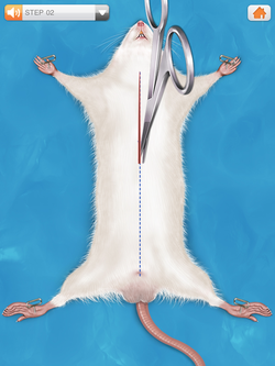 9370730.png