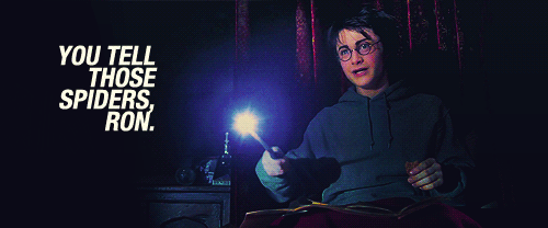 tumblr_mtp9rvaNu41sa2c1ao1_500.gif