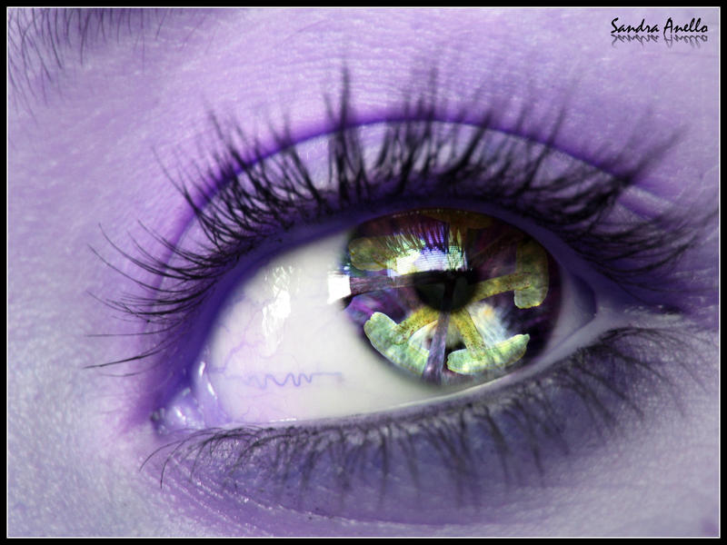 passion_fruit_flower_eye_by_xxsidewinderxx.jpg